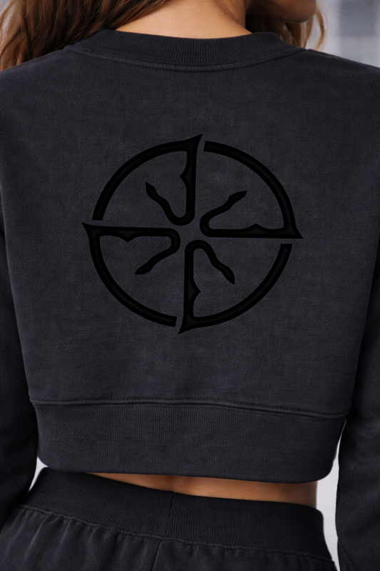 Echo Minimal Washed Cropped Sweatshirt